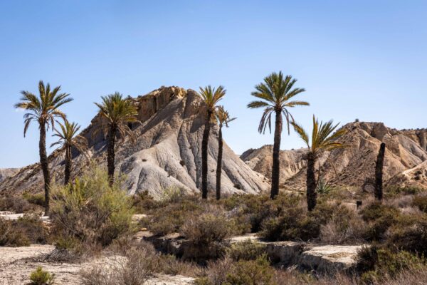 Avontuurlijke fotoreizen - Fotoreis Andalusie