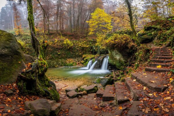 Fotoreis Mullerthal Luxemburg-123