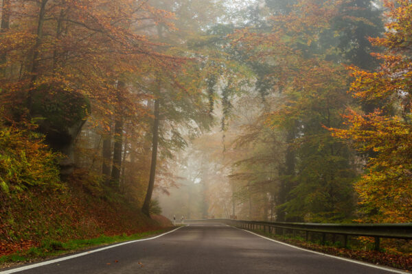 Fotoreis Mullerthal Luxemburg-127