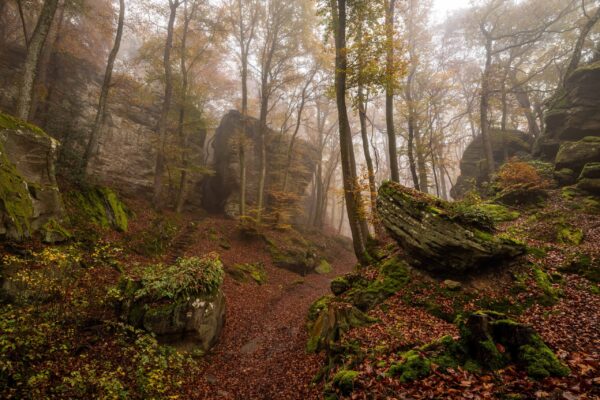 Fotoreis Mullerthal Luxemburg-136