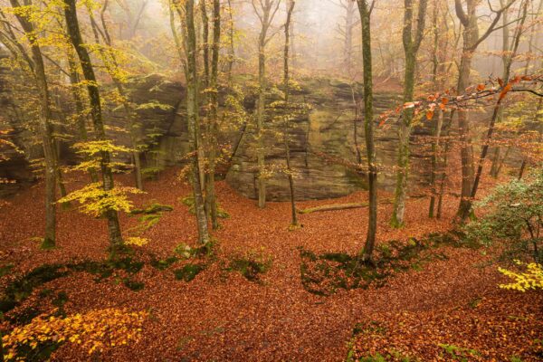 Fotoreis Mullerthal Luxemburg-137