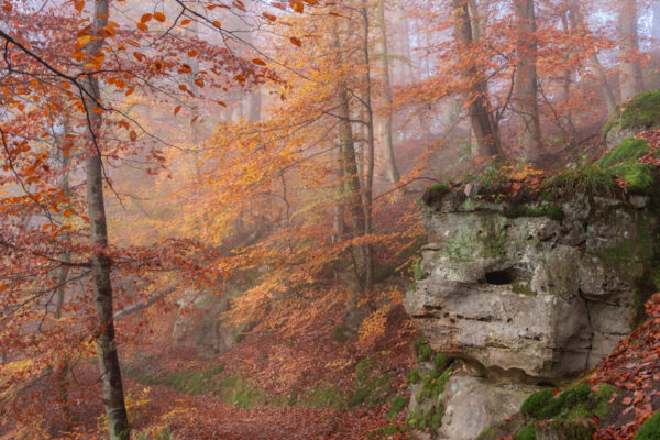 Fotoreis Mullerthal Luxemburg-17