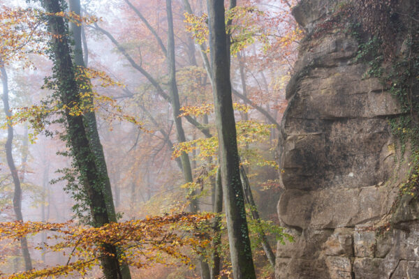 Fotoreis Mullerthal Luxemburg-18