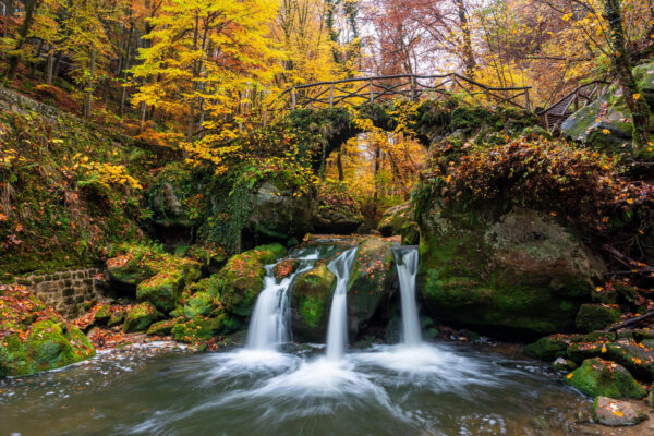 Fotoreis Mullerthal Luxemburg-3