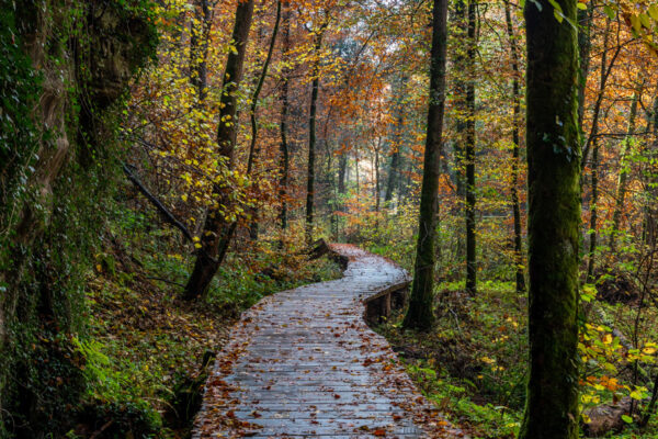 Fotoreis Mullerthal Luxemburg-32