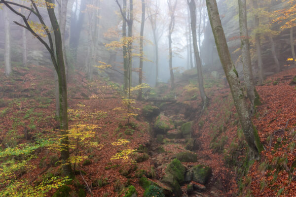 Fotoreis Mullerthal Luxemburg-33