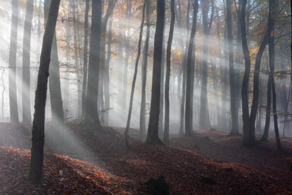 Fotoreis Mullerthal Luxemburg-58