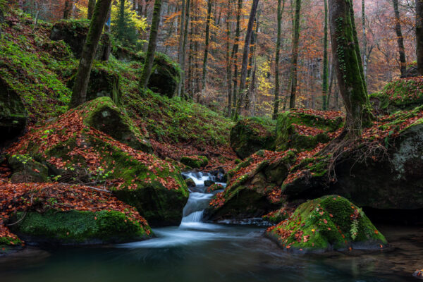 Fotoreis Mullerthal Luxemburg-68