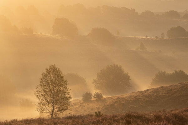 Landschapsfotografieworkshop - Avontuurlijke Fotoreizen 04