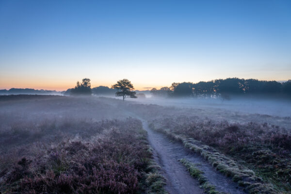 Landschapsfotografieworkshop - Avontuurlijke Fotoreizen