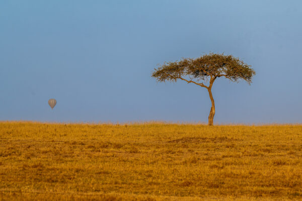 Fotoreis Kenia - Wildlife-24