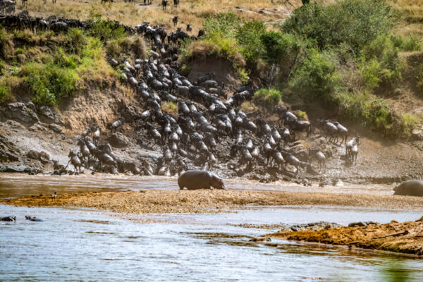 Fotoreis Kenia - Wildlife-62