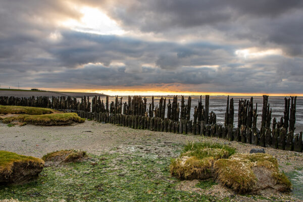 Fotoweekend Friese Wad - Avontuurlijke Fotoreizen-17