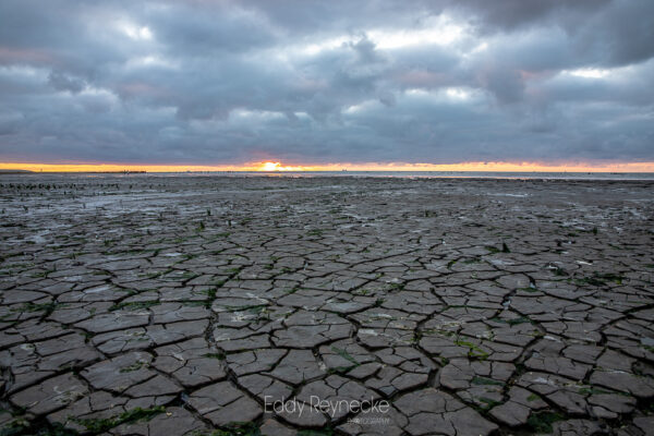 Fotoweekend Friese Wad - Avontuurlijke Fotoreizen-19