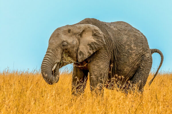 Fotoweekend Tanzania - Avontuurlijke Fotoreizen