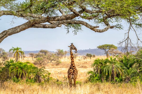 Fotoweekend Tanzania - Avontuurlijke Fotoreizen-13