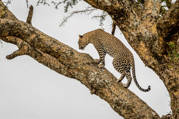 Fotoweekend Tanzania - Avontuurlijke Fotoreizen-14