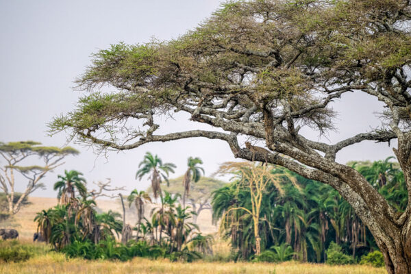 Fotoweekend Tanzania - Avontuurlijke Fotoreizen-33