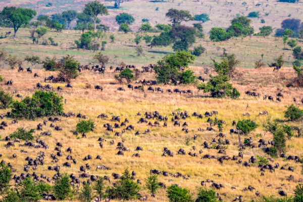 Fotoweekend Tanzania - Avontuurlijke Fotoreizen-4