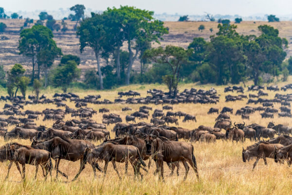 Fotoweekend Tanzania - Avontuurlijke Fotoreizen-5