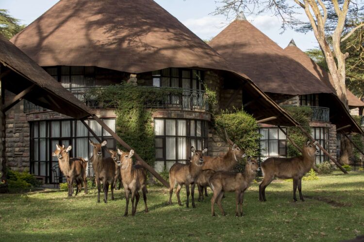 Lake-Naivasha-Sopa-Resort-80-scaled