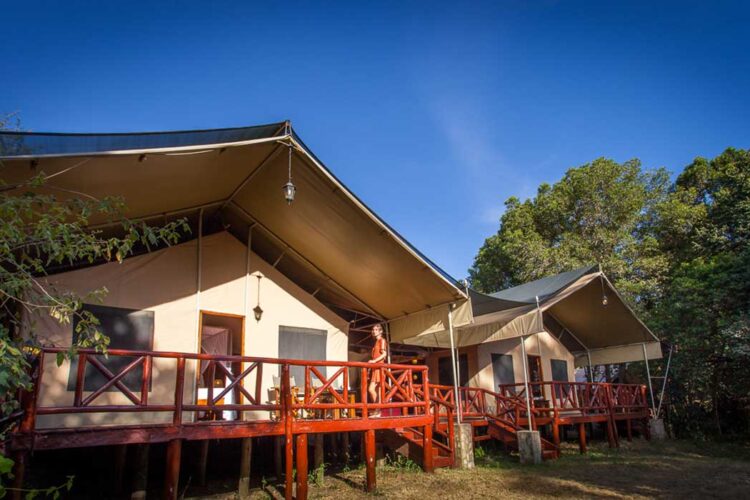 masai-mara-family-tent-05