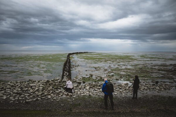 Fotoweekend Friese Wad-3