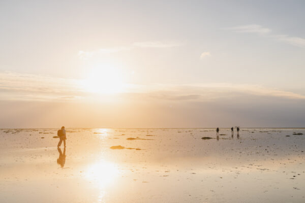 Fotoweekend Friese Wad-9