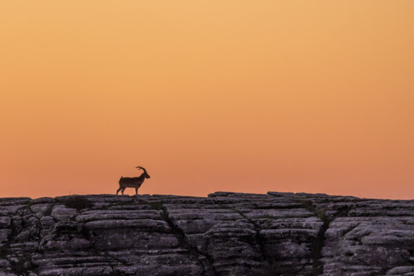 El Torcal de Antequera, Andalusie