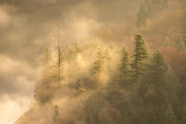 Fotoreis Mullerthal, Luxemburg - Avontuurlijke Fotoreizen 09