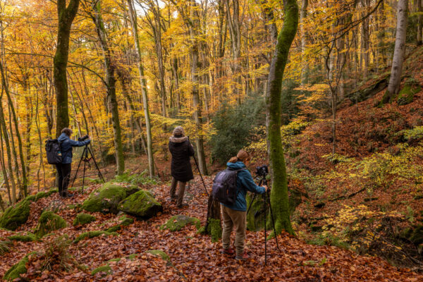 Fotoreis Mullerthal, Luxemburg - Avontuurlijke Fotoreizen 10