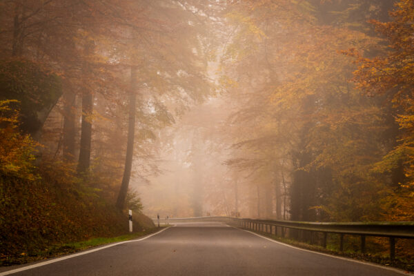 Fotoreis Mullerthal, Luxemburg - Avontuurlijke Fotoreizen