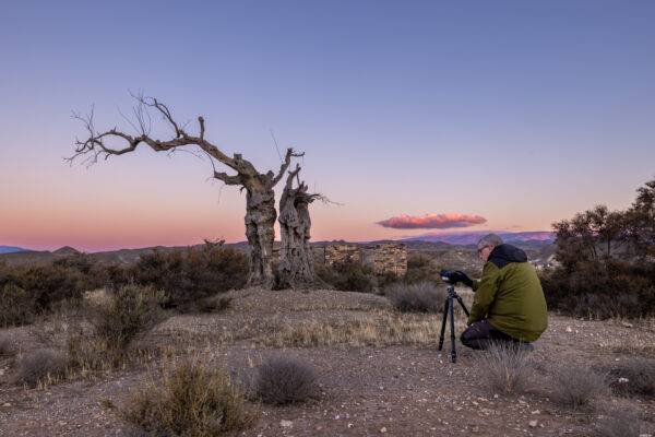 Oude bomen Western setting Tabernas - Fotoreis Andalusie-4