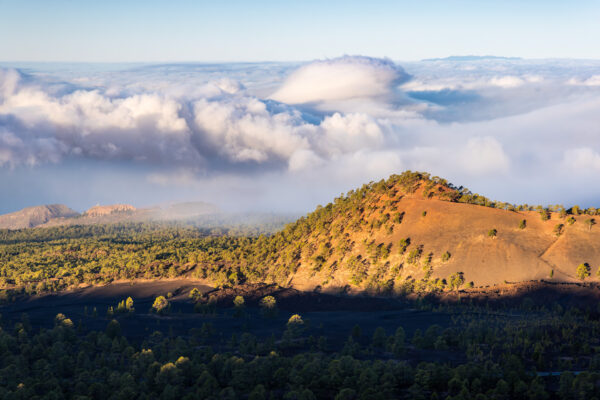 Fotoreis Tenerife Spanje - Avontuurlijke Fotoreizen-34