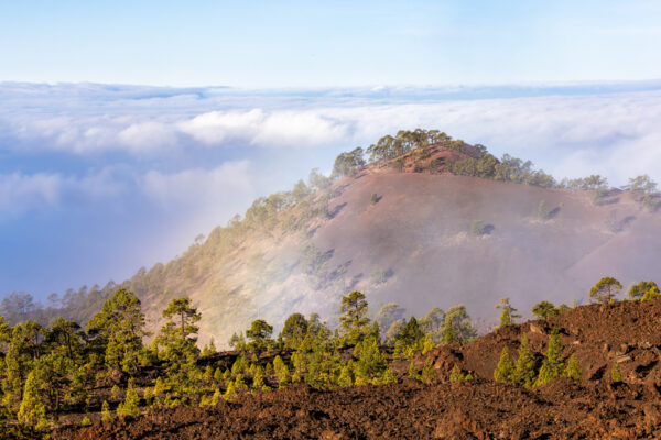 Fotoreis Tenerife Spanje - Avontuurlijke Fotoreizen-45