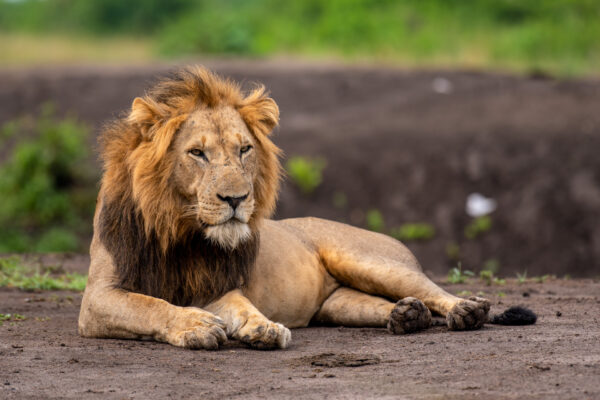 Fotoreis Uganda - Avontuurlijke Fotoreizen-15-6