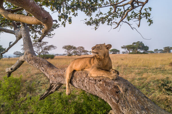 Fotoreis Uganda - Avontuurlijke Fotoreizen-17