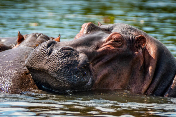 Fotoreis Uganda - Avontuurlijke Fotoreizen-20