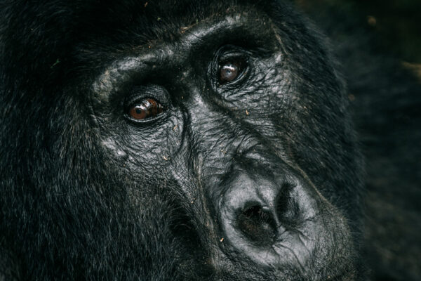 Fotoreis Uganda - Avontuurlijke Fotoreizen-24