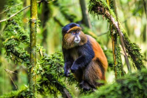 Fotoreis Uganda - Avontuurlijke Fotoreizen-25