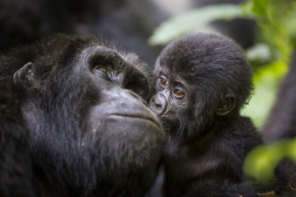 Fotoreis Uganda - Avontuurlijke Fotoreizen-27