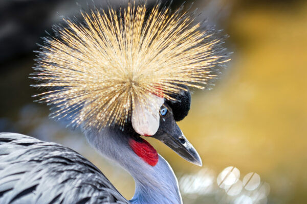 Fotoreis Uganda - Avontuurlijke Fotoreizen-29