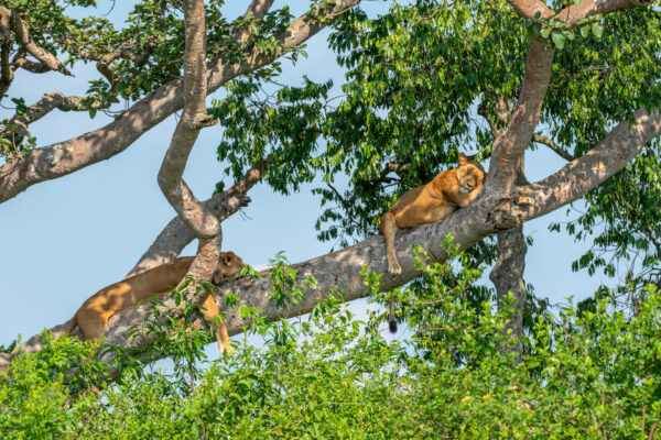 Fotoreis Uganda - Avontuurlijke Fotoreizen-3