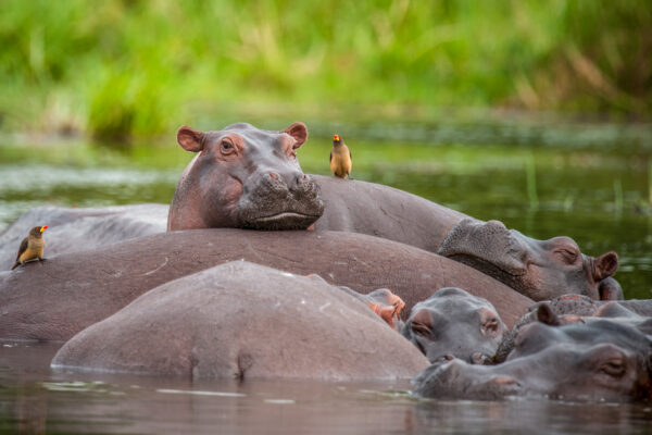 Fotoreis Uganda - Avontuurlijke Fotoreizen-31