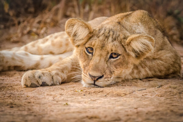 Fotoreis Uganda - Avontuurlijke Fotoreizen-33