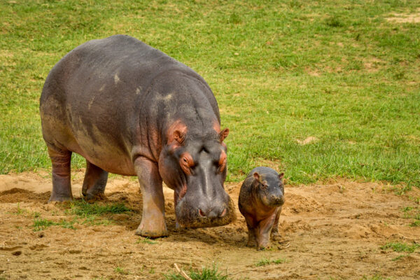 Fotoreis Uganda - Avontuurlijke Fotoreizen-42
