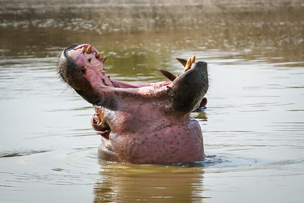 Fotoreis Uganda - Avontuurlijke Fotoreizen-43