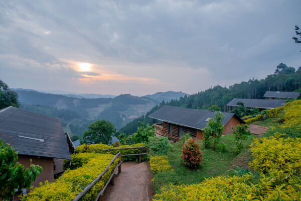 Fotoreis Uganda - accomodatie Bakiga-Lodge-171