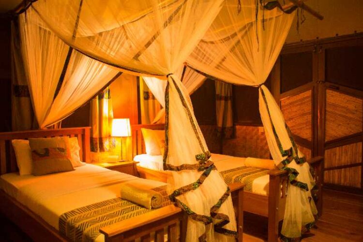 Fotoreis Uganda - accomodatie The Bush Lodge (Banda)2