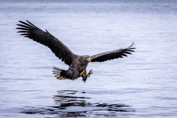 Fotoreis Lofoten - Avontuurlijke Fotoreizen 14
